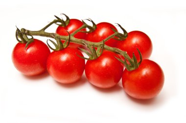 Vittoria vine tomatos clipart