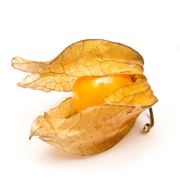 Gyümölcs Physalis — Stock Fotó