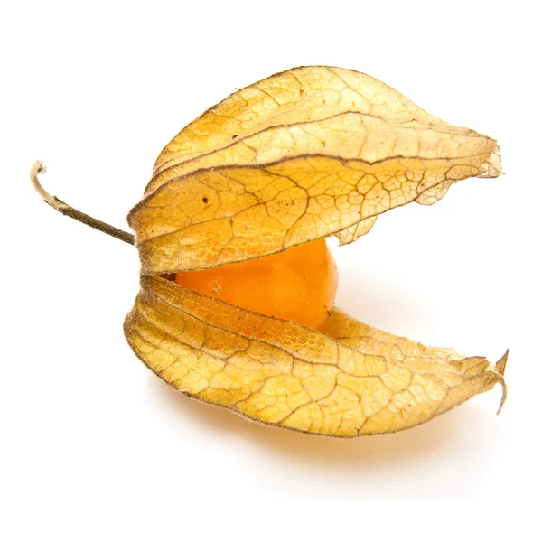 Physalis fruit — Stock Photo, Image