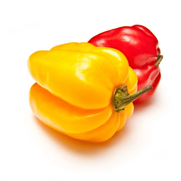 Kapoty chilli papričkou — Stock fotografie