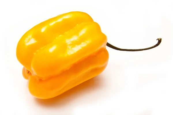 Kapoty chilli papričkou — Stock fotografie