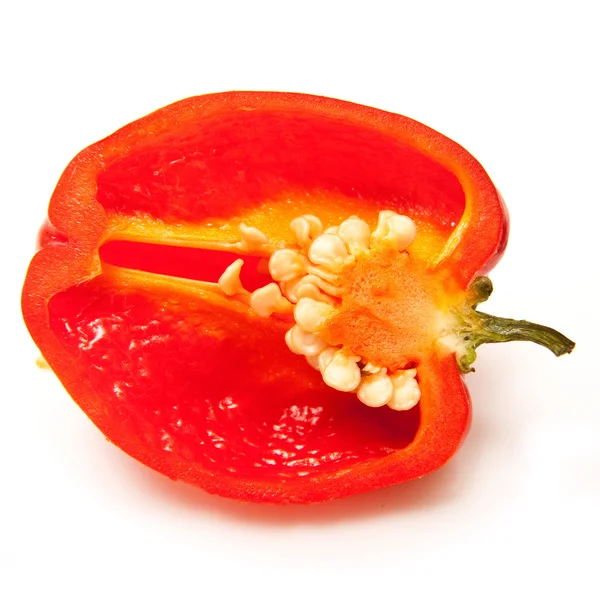 Scotch bonnet chilli — Stock Photo, Image