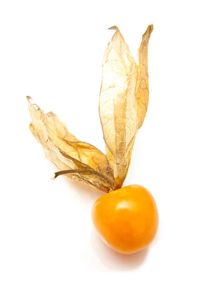 Gyümölcs Physalis — Stock Fotó