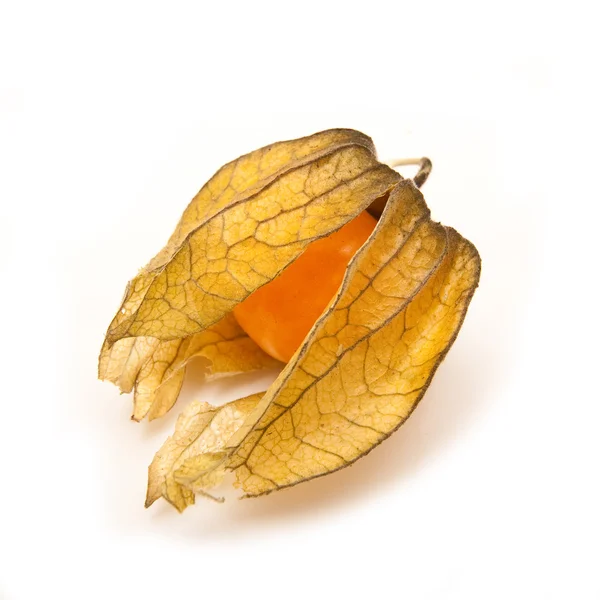 Gyümölcs Physalis — Stock Fotó