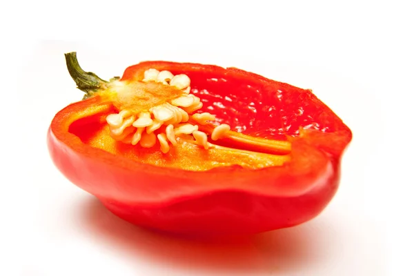 Scotch bonnet chilli pepper — Stock Photo, Image