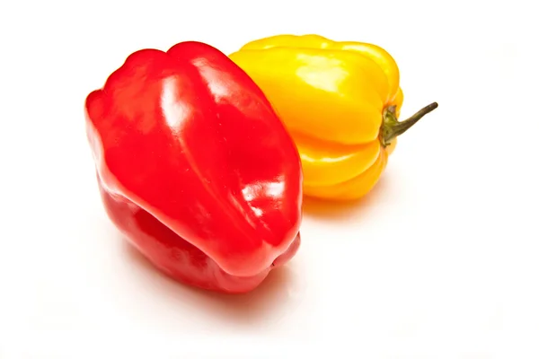 Scotch bonnet chilli pepper — Stock Photo, Image