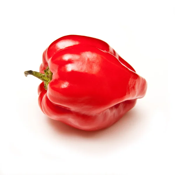 Scotch bonnet Chili peppar — Stockfoto