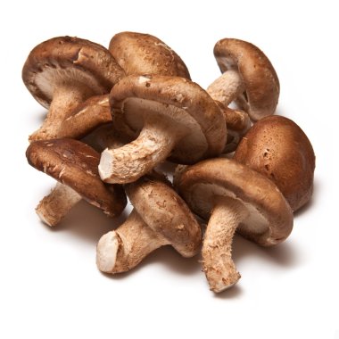 Champignones
