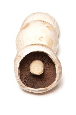 Champignones