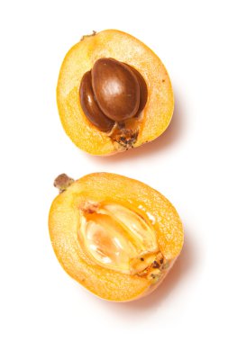 yenidünya veya Japon muşmulası meyve