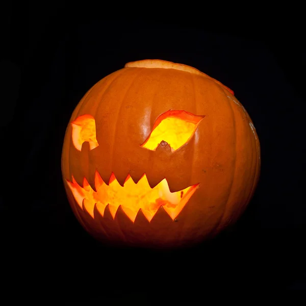 Pumpkin halloween Jack — Stok fotoğraf