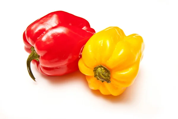 Scotch bonnet Chili peppar — Stockfoto