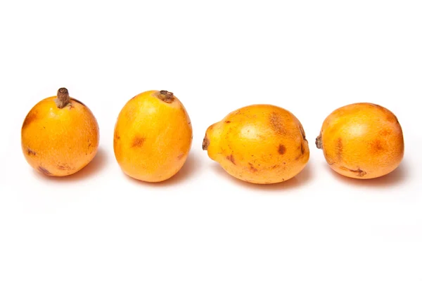 Loquat. —  Fotos de Stock