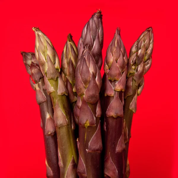 Purple passion asparagus — Stock Photo, Image