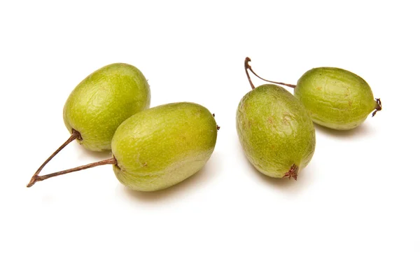 Kiwi berries — Stock Photo, Image