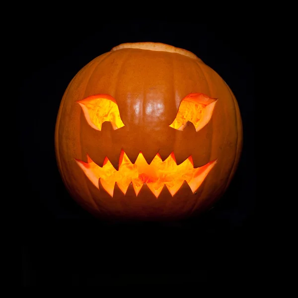 Zucca Halloween Jack — Foto Stock