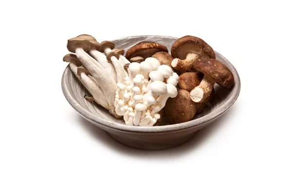Brown beech mushrooms — Stock Photo, Image