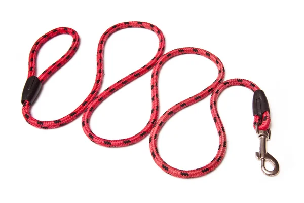 Dog lead — Stock Photo, Image