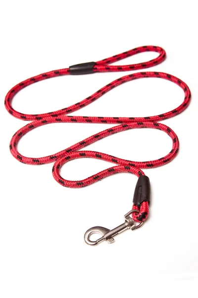 Dog lead — Stock Photo, Image