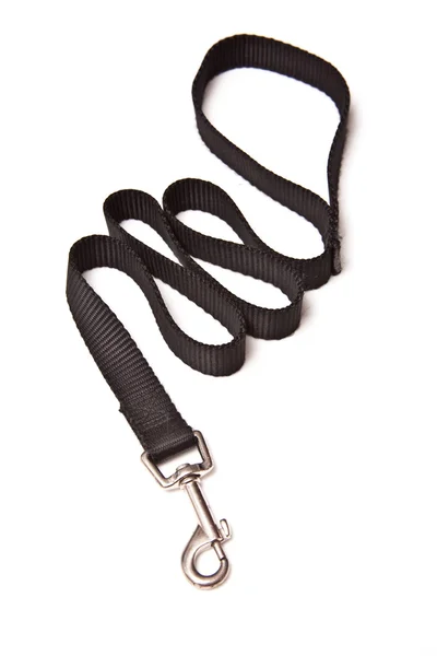 Dog lead — Stock Photo, Image