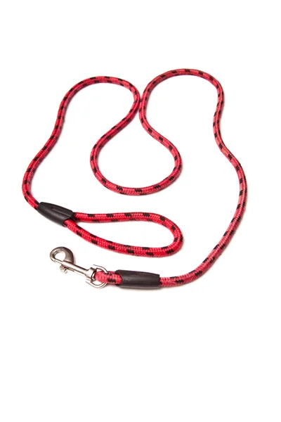 Dog lead — Stock Photo, Image