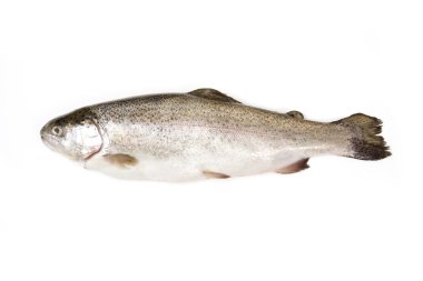 Bütün taze alabalık