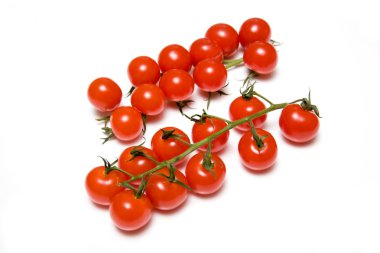 Bir dalda kiraz domatesleri