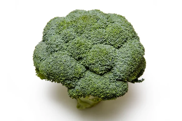 Färsk broccoli — Stockfoto