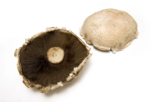 Grote platte champignons — Stockfoto