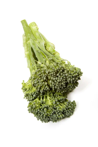 Färsk broccoli — Stockfoto