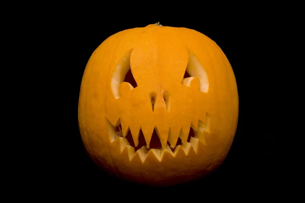 Kürbis-Halloween-Buchse — Stockfoto