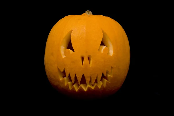 Pumpkin Halloween Jack — Stock Photo, Image