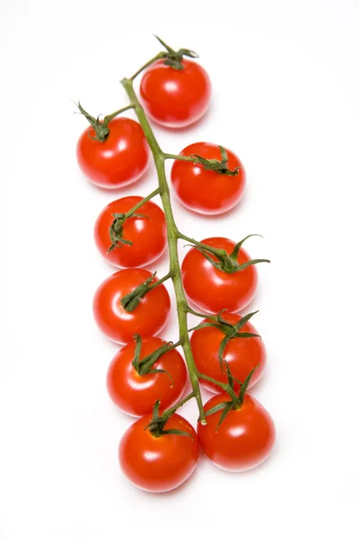 Черри помидоры на ветке — стоковое фото