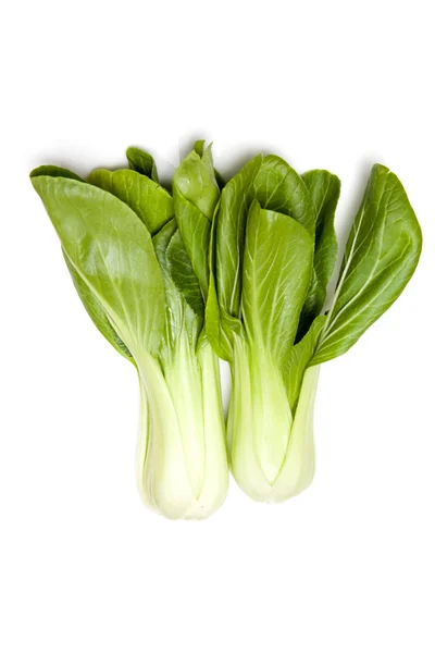 Chinese cabbage — Stock Photo, Image