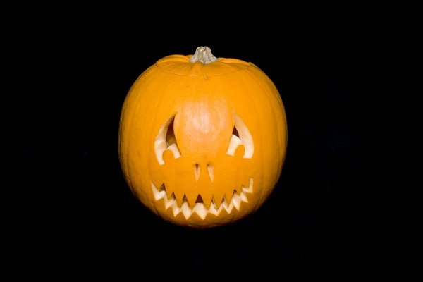 Pumpkin Halloween Jack — Stock Photo, Image