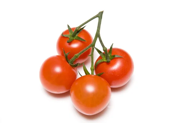 Pomidory wiśniowe na gałęzi — Zdjęcie stockowe