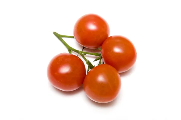 Ветвь помидоров черри — стоковое фото