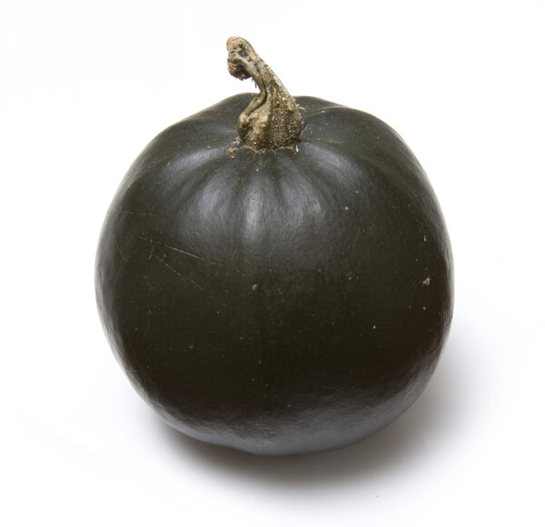Gem squash