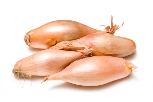 Onions Stock Picture