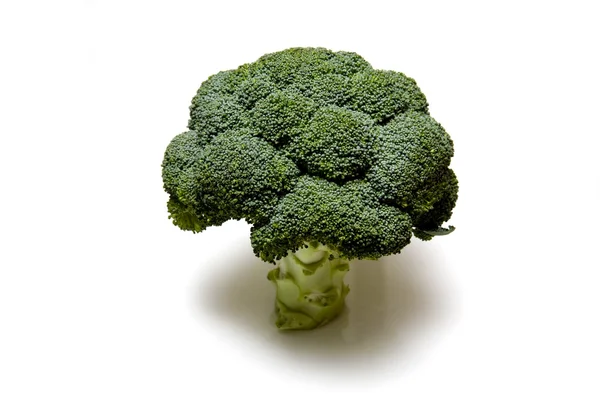 Broccoli — Stockfoto