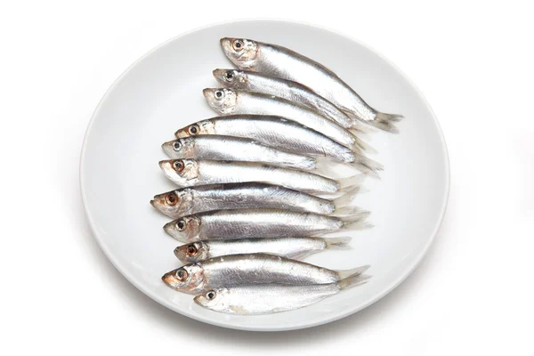 Šproty malé tučných ryb izolovaných na bílém pozadí — Stock fotografie