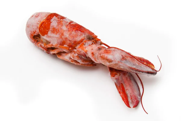 Cozido lagosta vermelha canadense isolado em um estúdio branco Backgroun — Fotografia de Stock