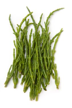 Samphire isolated on a white studio background. clipart