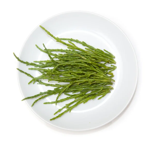 Piatto di Samphire isolato su sfondo bianco . — Foto Stock