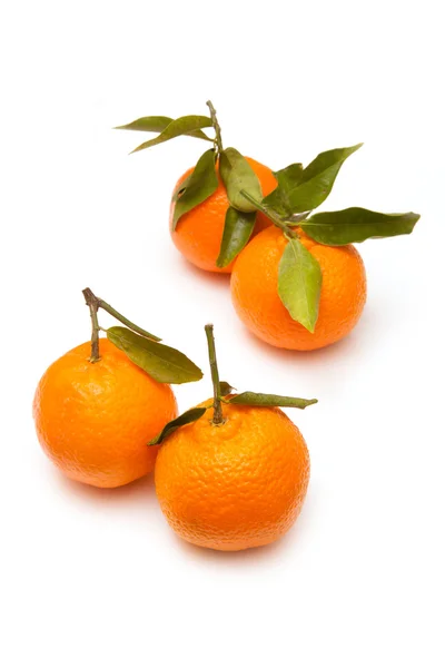 Clementine's isolated on a white studio background. — Stock Photo, Image