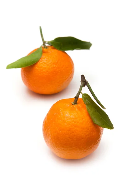 Clementine's isolated on a white studio background. — Stock Photo, Image