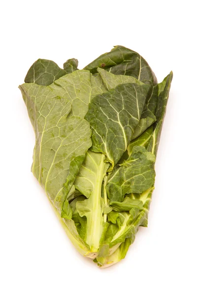 Spring Greens (Brassica oleracea) izolat pe un studio alb — Fotografie, imagine de stoc