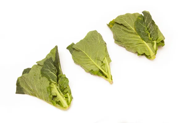 Spring Greens (Brassica oleracea ) isolated on a white studio ba — Stock Photo, Image