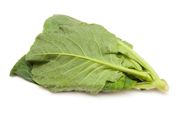 Primavera Verdes (Brassica oleracea) isolado em um estúdio branco ba — Fotografia de Stock