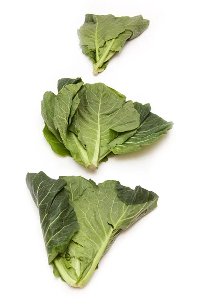 Spring Greens (Brassica oleracea ) isolated on a white studio ba — Stock Photo, Image